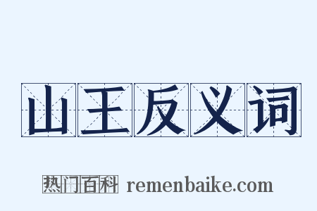 山王反义词是什么意思的图片